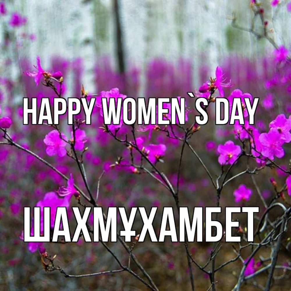 Greetings card с именем, ШАХМҰХАМБЕТ happy women`s day дикие цветы Greetings with text for free download 